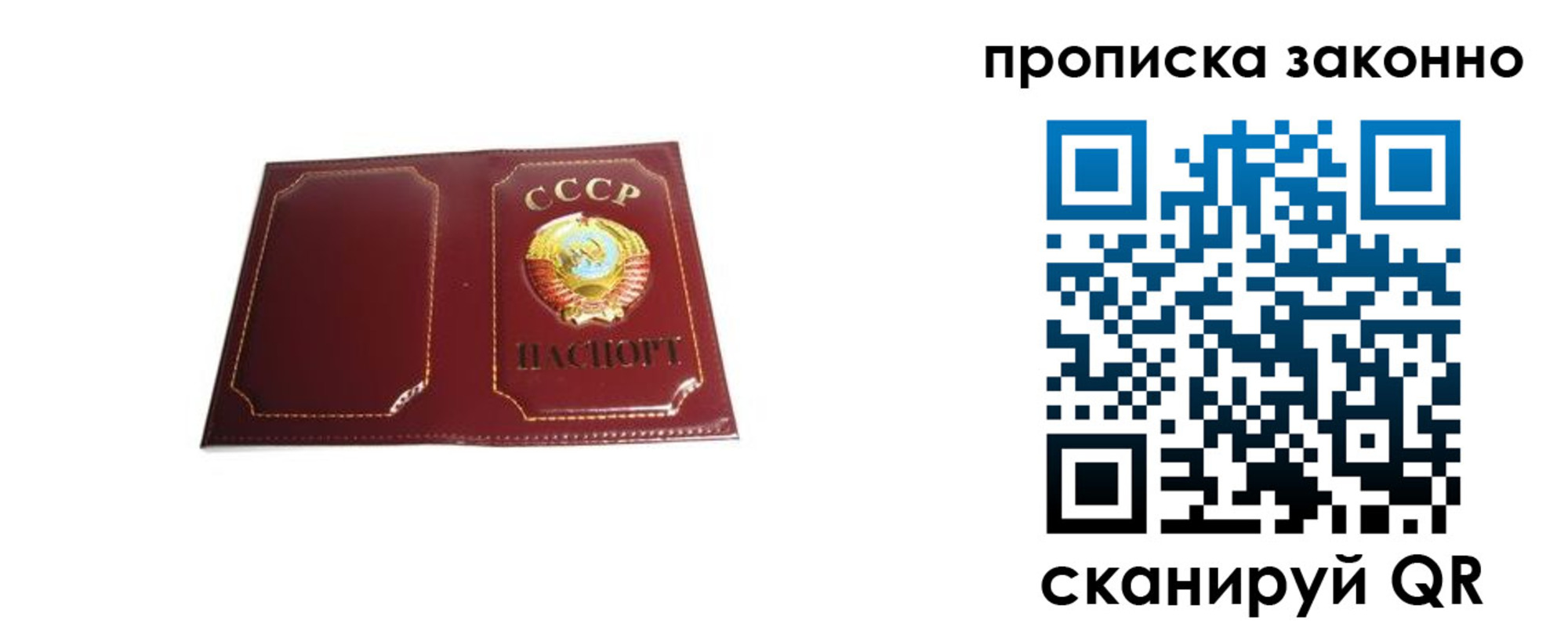 прописка законно в Заринске